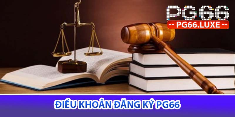 Điều khoản đăng ký pg66
